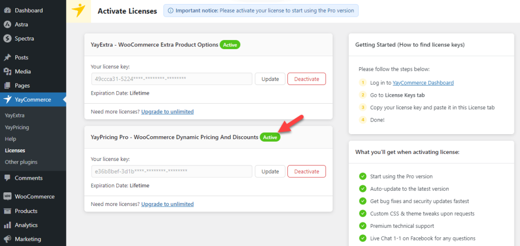 yaypricing license activated