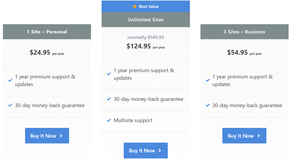 Perfmatters pricing