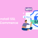 How to Install SSL on WooCommerce Stores