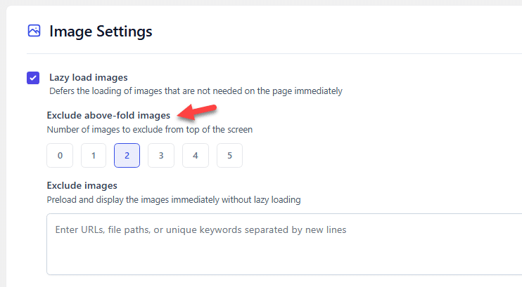 exclude images - Largest Contentful Paint