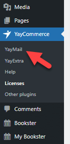 yaymail plugin settings
