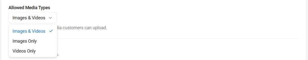 allowed media types