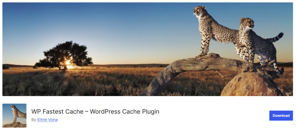 WP Fastest Cache lite